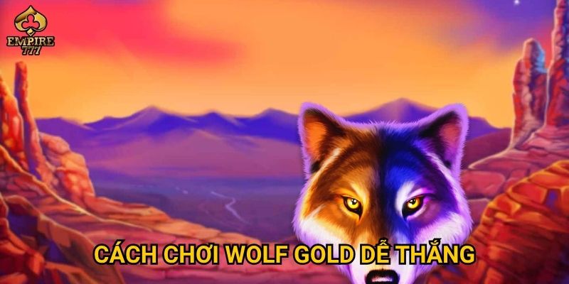 Cách chơi Wolf Gold dễ thắng